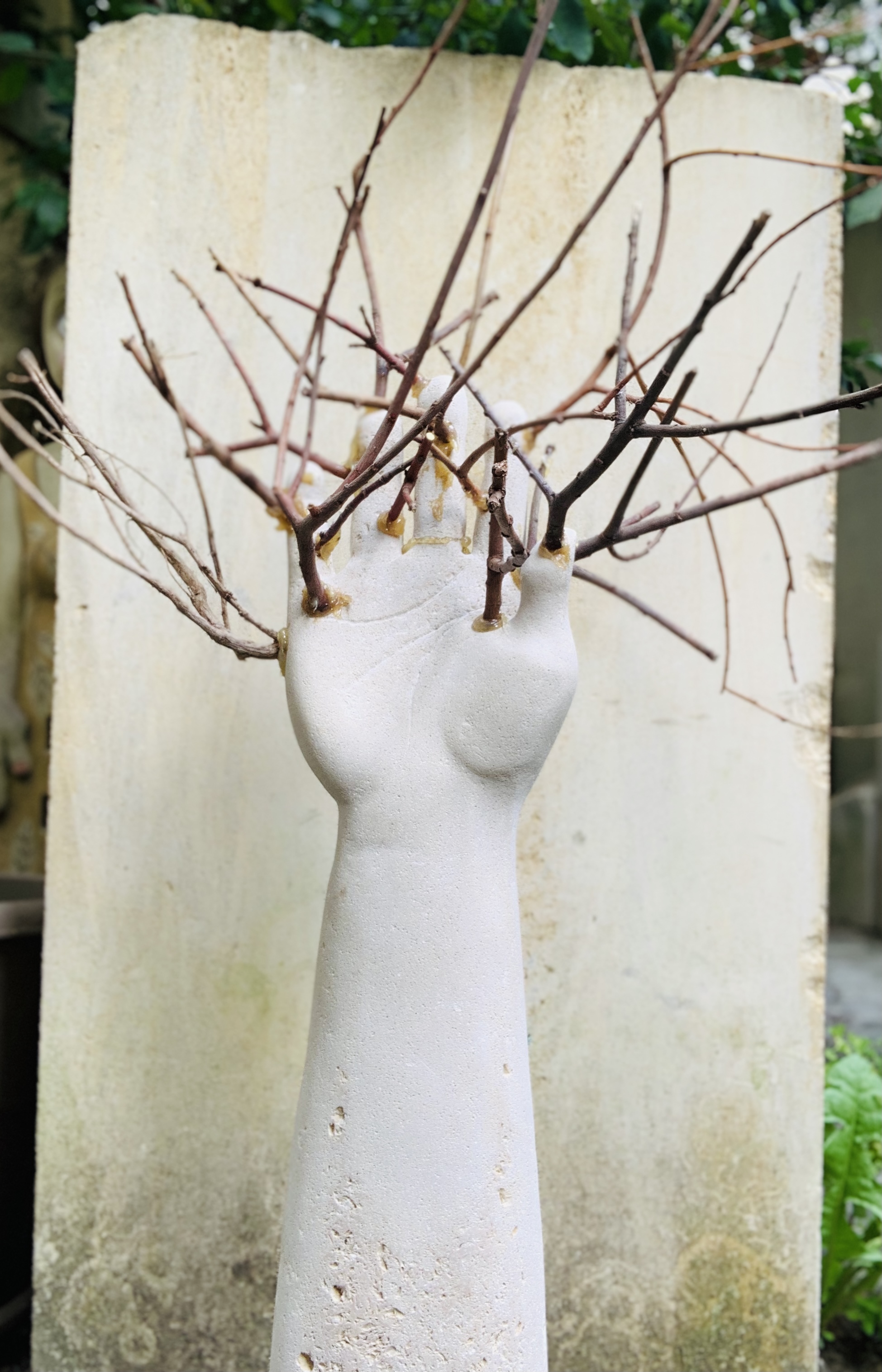 32F8282C-FA77-4CF7-B9BF-9FD5D77C2313